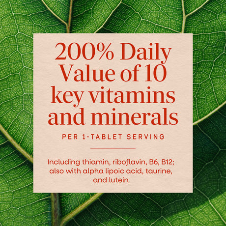<{%MAIN3_60038%}>Nature's Way® | Alpha Betic Multivitamin