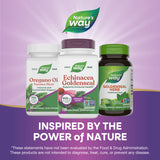 <{%MAIN11_415%}>Nature's Way® | Echinacea Goldenseal Premium Blend