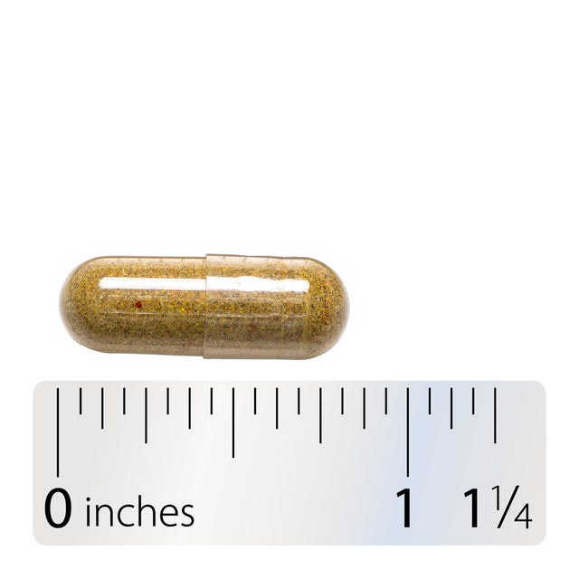 <{%360IMAGE8_415%}>Nature's Way® | Echinacea Goldenseal Premium Blend - Capsule and ruler