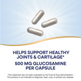 <{%MAIN2_01787%}>Nature's Way® | GS-500 Glucosamine Sulfate