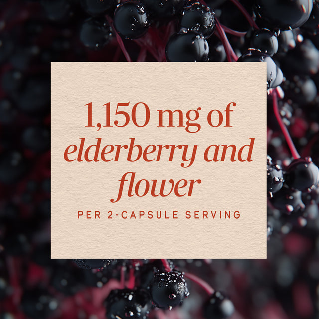 <{%MAIN3_12440%}>Nature's Way® | Black Elderberry