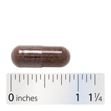 <{%360IMAGE4_12440%}>Nature's Way® | Black Elderberry - Capsule and ruler