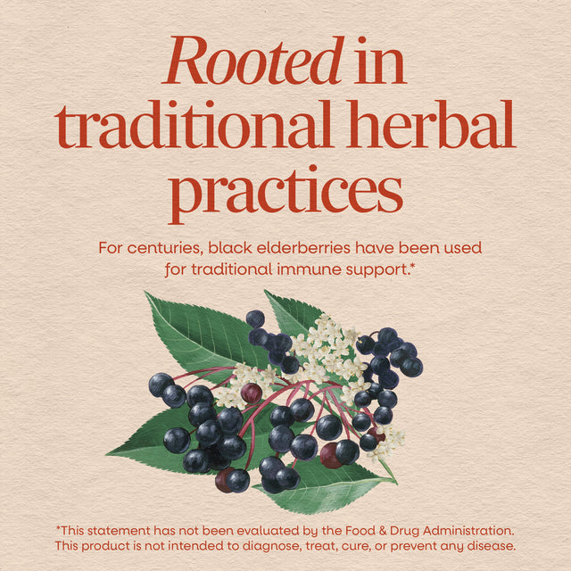 <{%MAIN2_12440%}>Nature's Way® | Black Elderberry