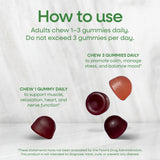 <{%DETAIL2_14602%}>Nature's Way® | Magnesium Gummy