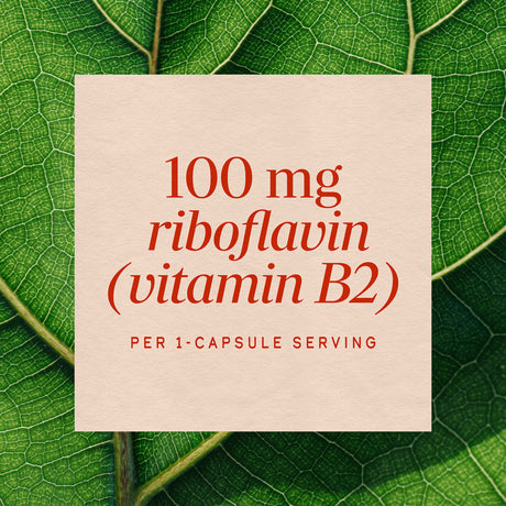 <{%MAIN3_40421%}>Nature's Way® | Riboflavin Vitamin B2