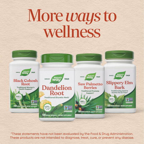 <{%MAIN6_15336%}>Nature's Way® | Dandelion Root
