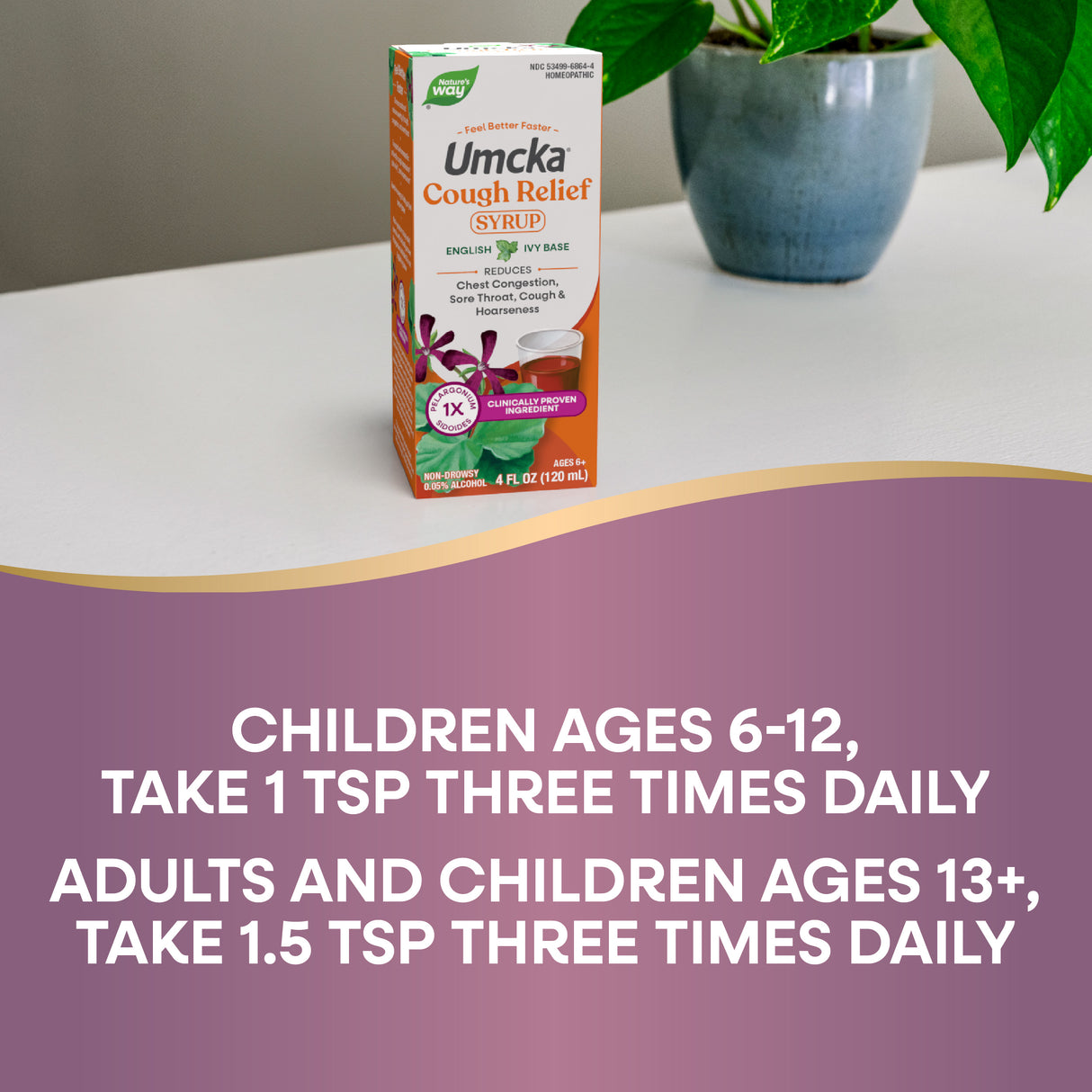 <{%DETAIL2_15864%}>Nature's Way® | Umcka Cough Relief Syrup - product recommendations