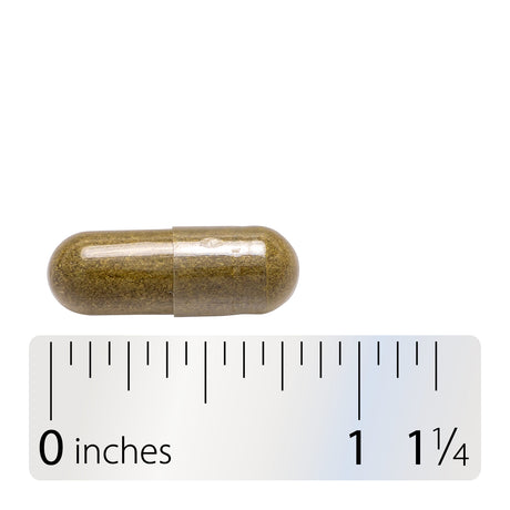 <{%360IMAGE4_10100%}>Nature's Way® | Alfalfa - Capsule and ruler