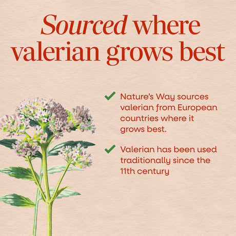 <{%MAIN2_6640%}>Nature's Way® | Valerian Nighttime