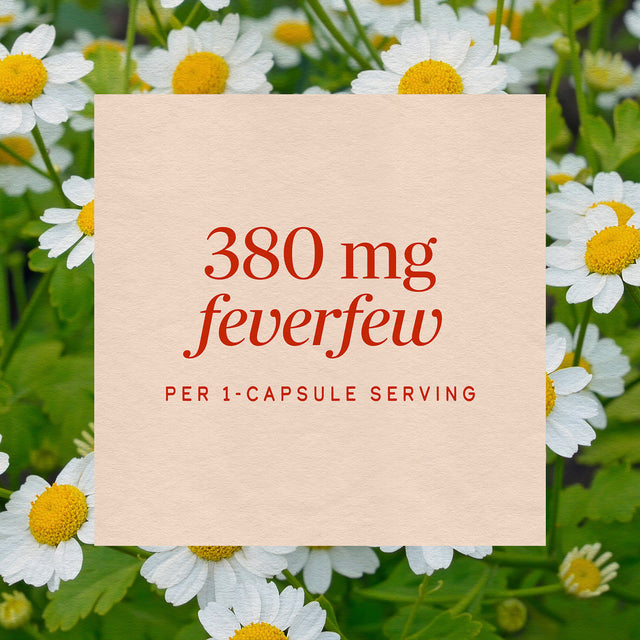 <{%MAIN10_12850%}>Nature's Way® | Feverfew Herb