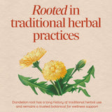 <{%MAIN2_15336%}>Nature's Way® | Dandelion Root