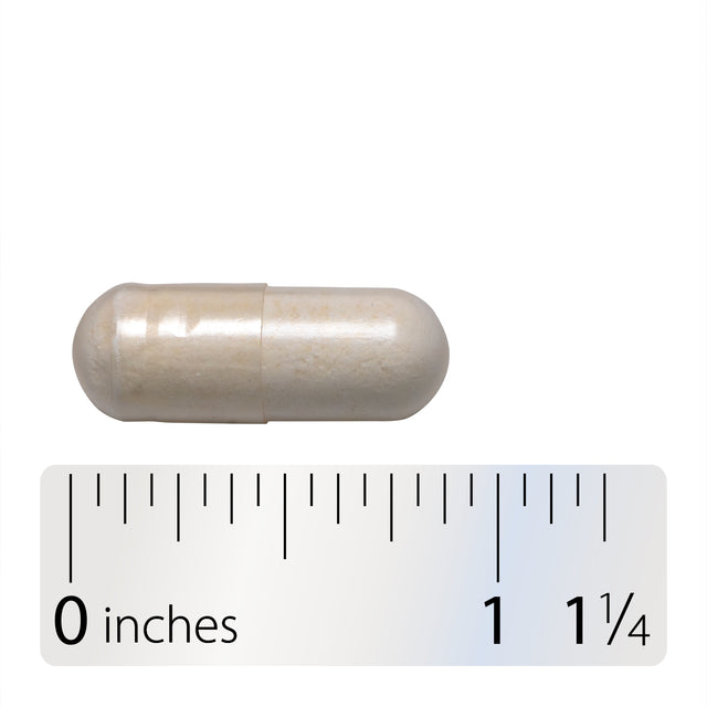 <{%360IMAGE4_10295%}>Nature's Way® | Fortify Women's Daily Pre+Probiotic - Capsule and ruler