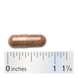 <{%360IMAGE4_12915%}>Nature's Way® | DGL Ultra Premium Extract - Capsule and ruler