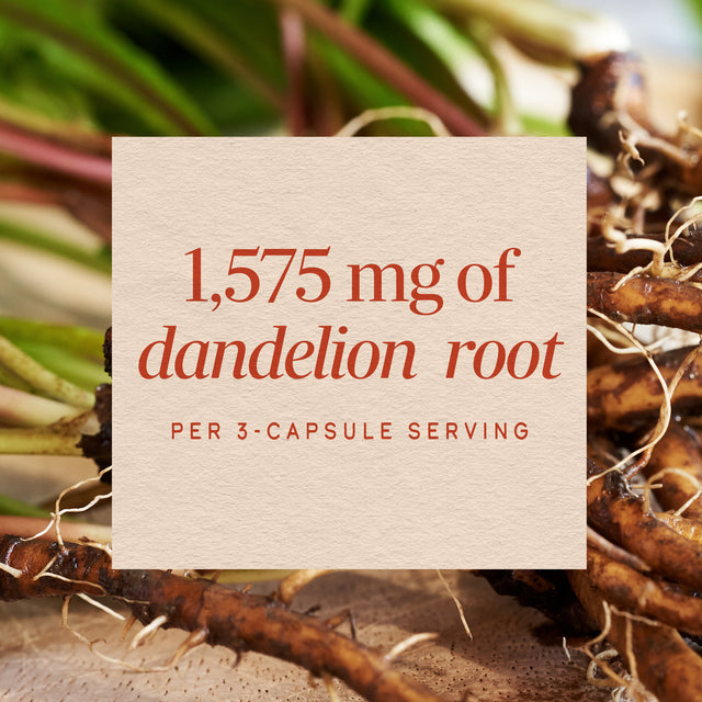 <{%MAIN10_12300%}>Nature's Way® | Dandelion Root