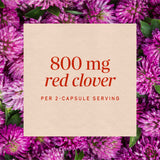 <{%MAIN3_16000%}>Nature's Way® | Red Clover Blossom / Herb