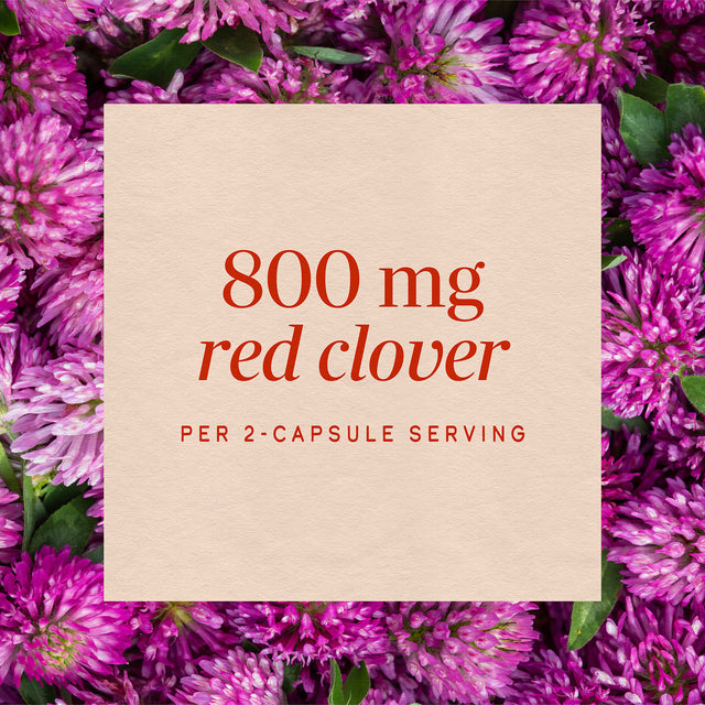 <{%MAIN3_16000%}>Nature's Way® | Red Clover Blossom / Herb