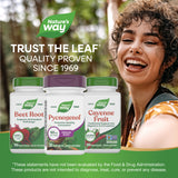 <{%MAIN5_45151%}>Nature's Way® | Pycnogenol Premium Blend