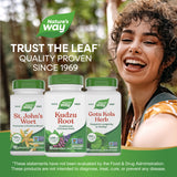 <{%MAIN5_14550%}>Nature's Way® | Kudzu Root