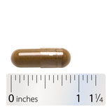 <{%360IMAGE4_17000%}>Nature's Way® | Senna Leaves - Capsule and ruler