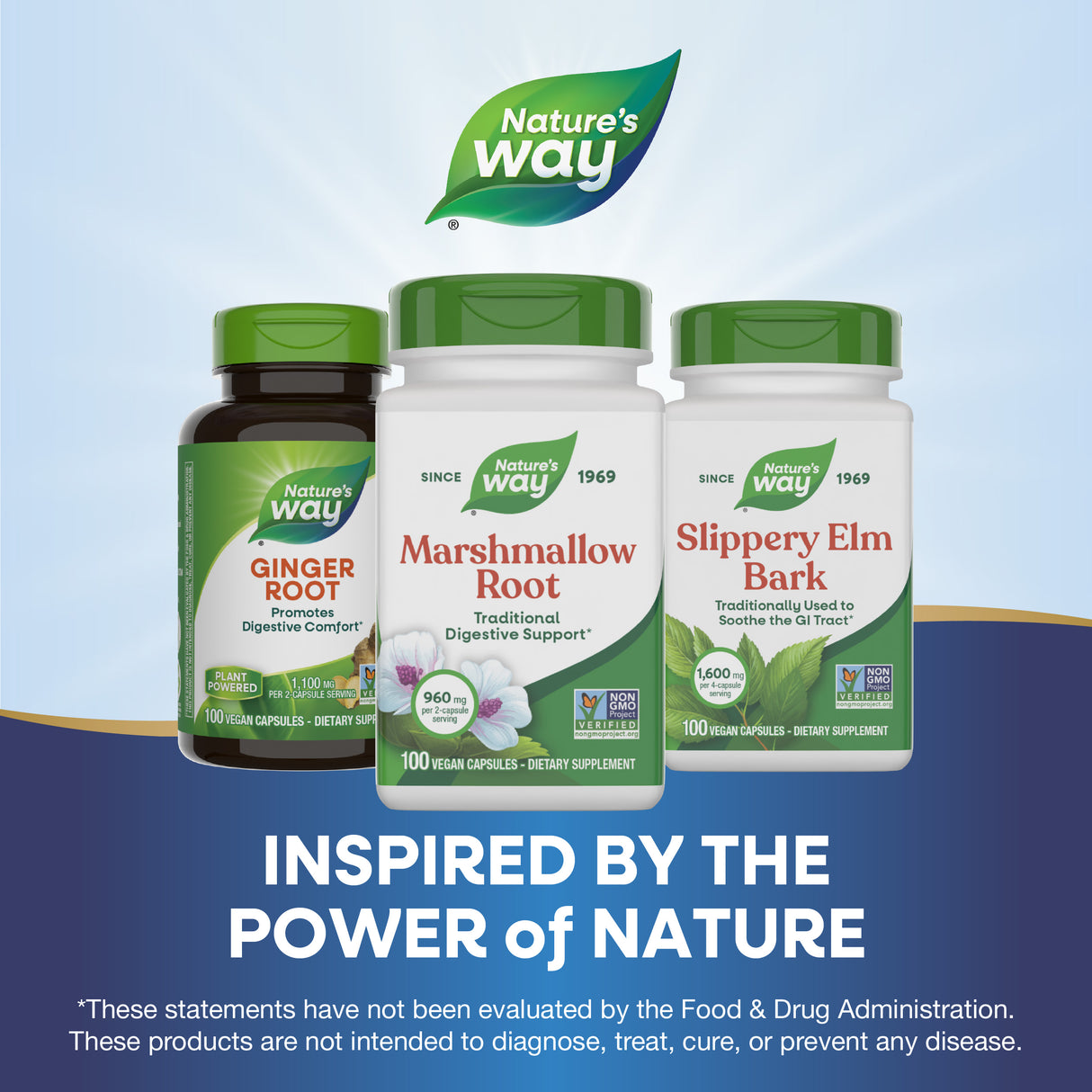 <{%MAIN5_14800%}>Nature's Way® | Marshmallow Root
