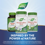 <{%MAIN5_14800%}>Nature's Way® | Marshmallow Root