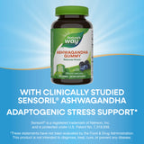 <{%MAIN3_13983%}>Nature's Way® | Ashwagandha Gummies