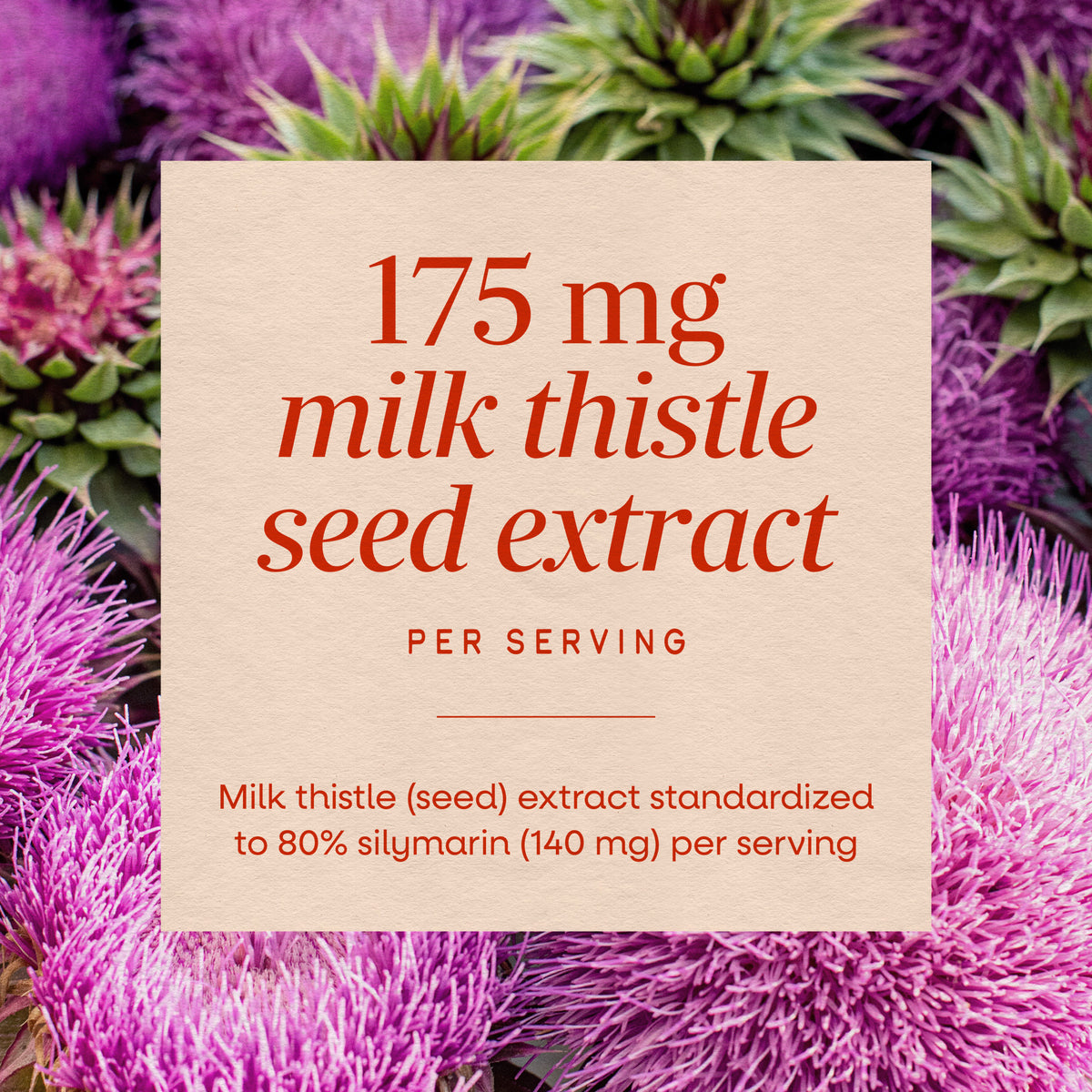 <{%MAIN3_62400%}>Nature's Way® | Milk Thistle