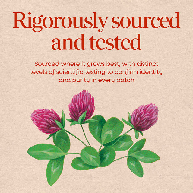 <{%MAIN2_16000%}>Nature's Way® | Red Clover Blossom / Herb