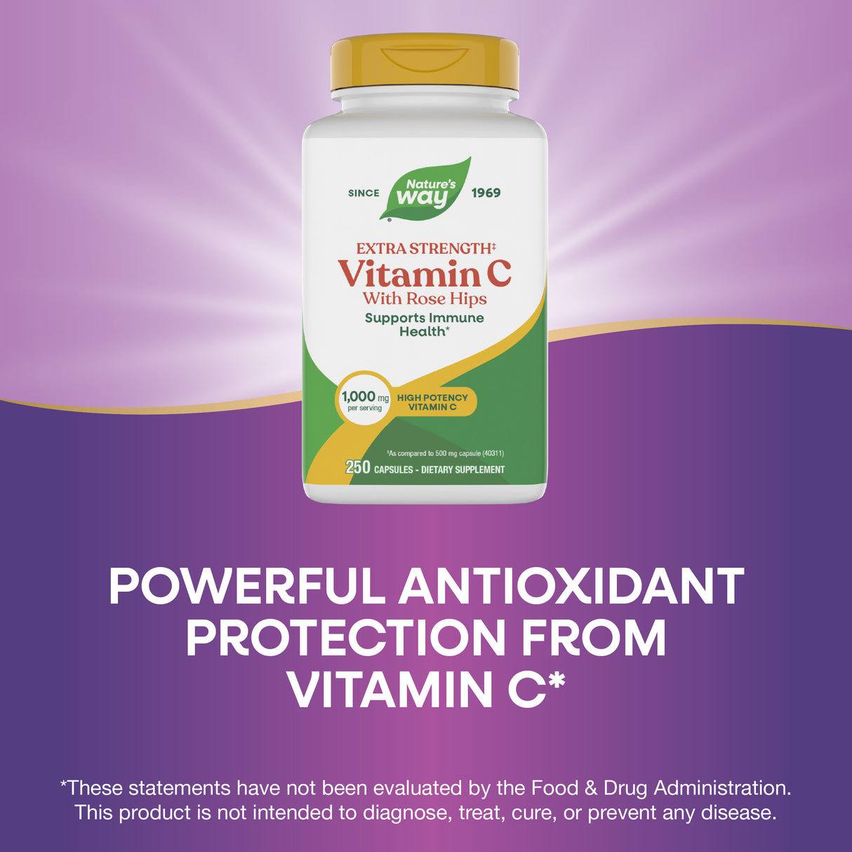 <{%MAIN3_40313%}>Nature's Way® | Vitamin C with Rose Hips Extra Strength