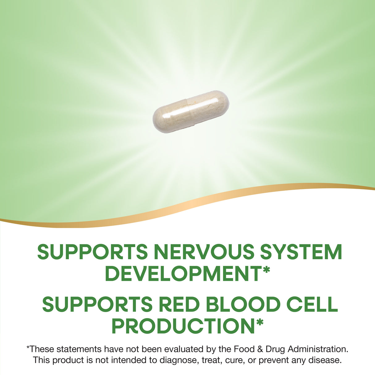 <{%MAIN2_40451%}>Nature's Way® | Folate