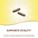 <{%MAIN8_14000%}>Nature's Way® | Gotu Kola Herb