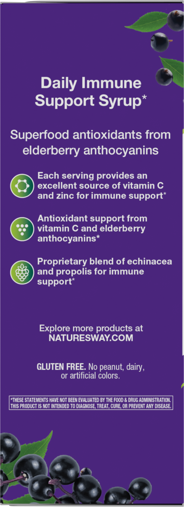 <{%360IMAGE7_15333%}>Nature's Way® | Sambucus Immune Elderberry Syrup