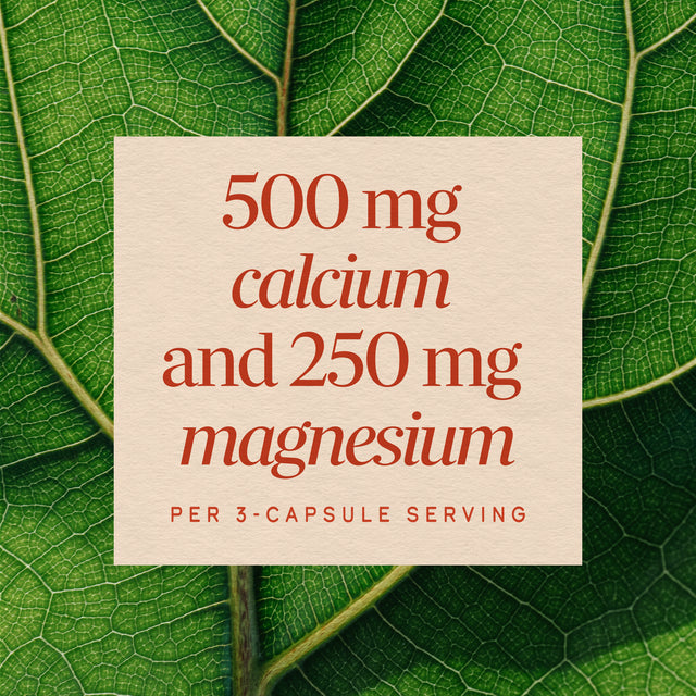 <{%MAIN10_41310%}>Nature's Way® | Calcium & Magnesium Mineral Complex