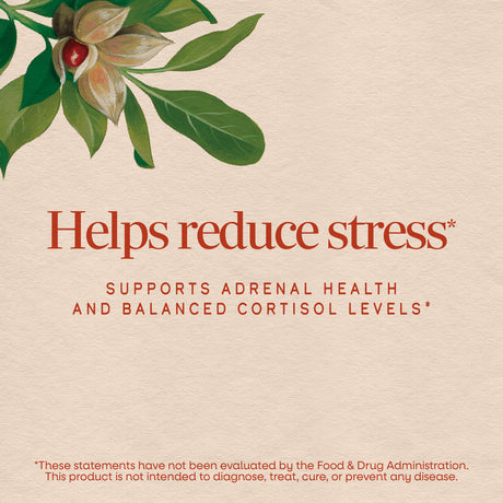<{%MAIN3_00458%}>Nature's Way® | Sleep Tonight