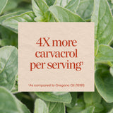 <{%MAIN3_16277%}>Nature's Way® | Oregano Oil Extra Strength