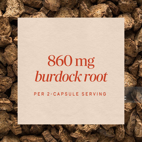 <{%MAIN3_11200%}>Nature's Way® | Burdock Root