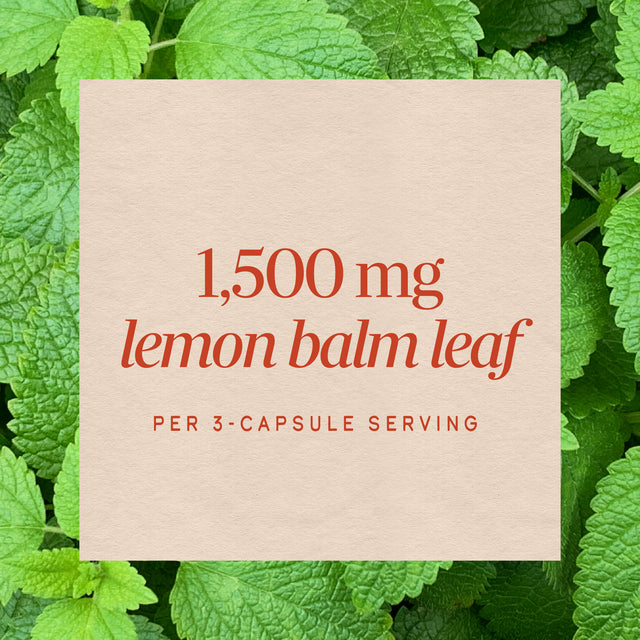 <{%MAIN3_14650%}>Nature's Way® | Melissa-Lemon Balm Leaf