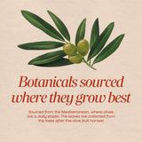 <{%MAIN2_15480%}>Nature's Way® | Olive Leaf Standardized Extract