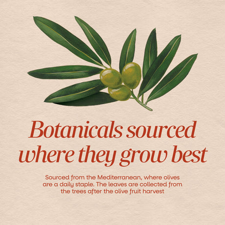 <{%MAIN2_15480%}>Nature's Way® | Olive Leaf Standardized Extract