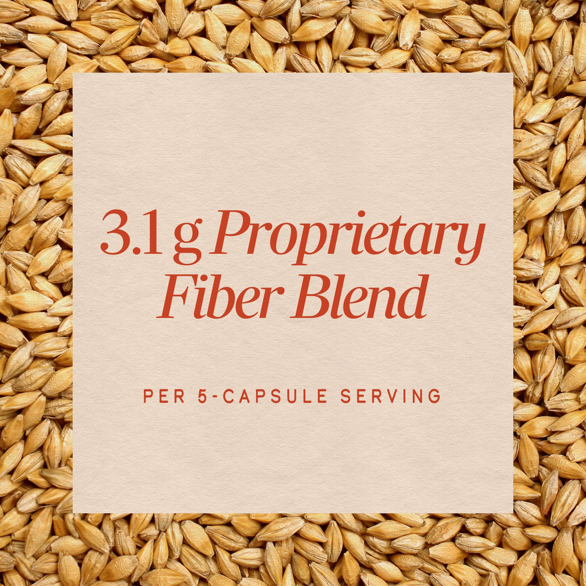 <{%MAIN3_08452%}>Nature's Way® | Fiber Fusion Daily