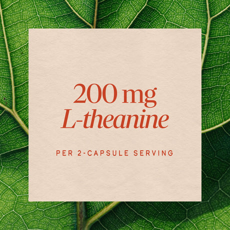 <{%MAIN10_09550%}>Nature's Way® | L-Theanine