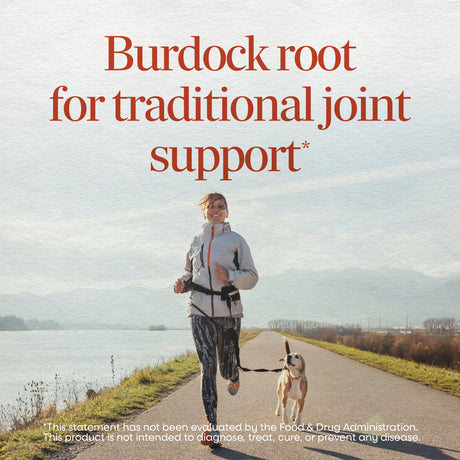 <{%MAIN1_11200%}>Nature's Way® | Burdock Root