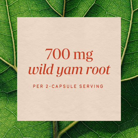 <{%MAIN3_17870%}>Nature's Way® | Wild Yam Root