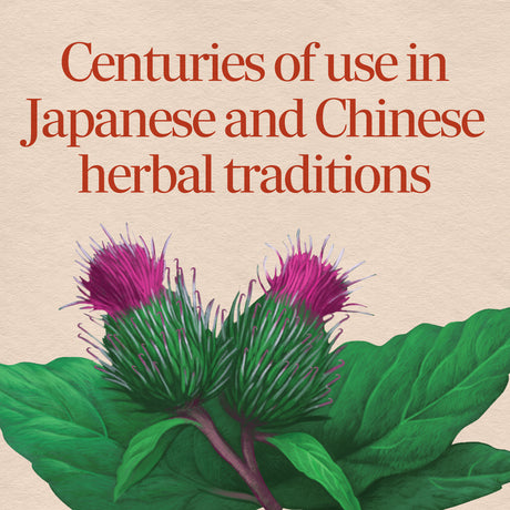 <{%MAIN2_11200%}>Nature's Way® | Burdock Root