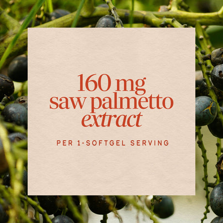 <{%MAIN3_08362%}>Nature's Way® | Saw Palmetto