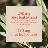 <{%MAIN3_15480%}>Nature's Way® | Olive Leaf Standardized Extract