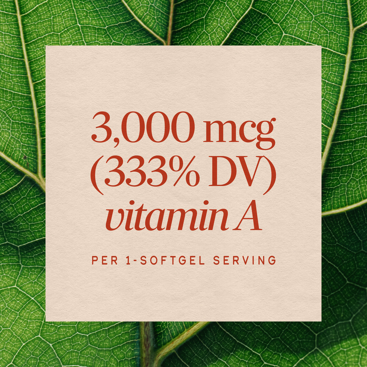 <{%MAIN3_40110%}>Nature's Way® | Vitamin A