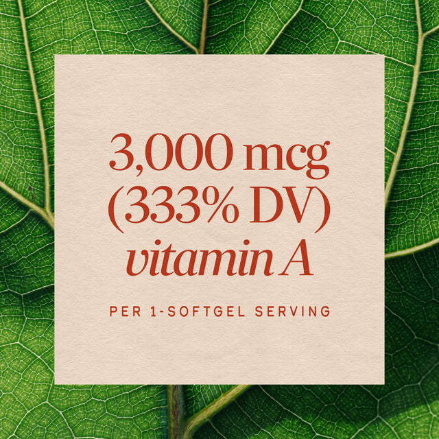 <{%MAIN3_40110%}>Nature's Way® | Vitamin A