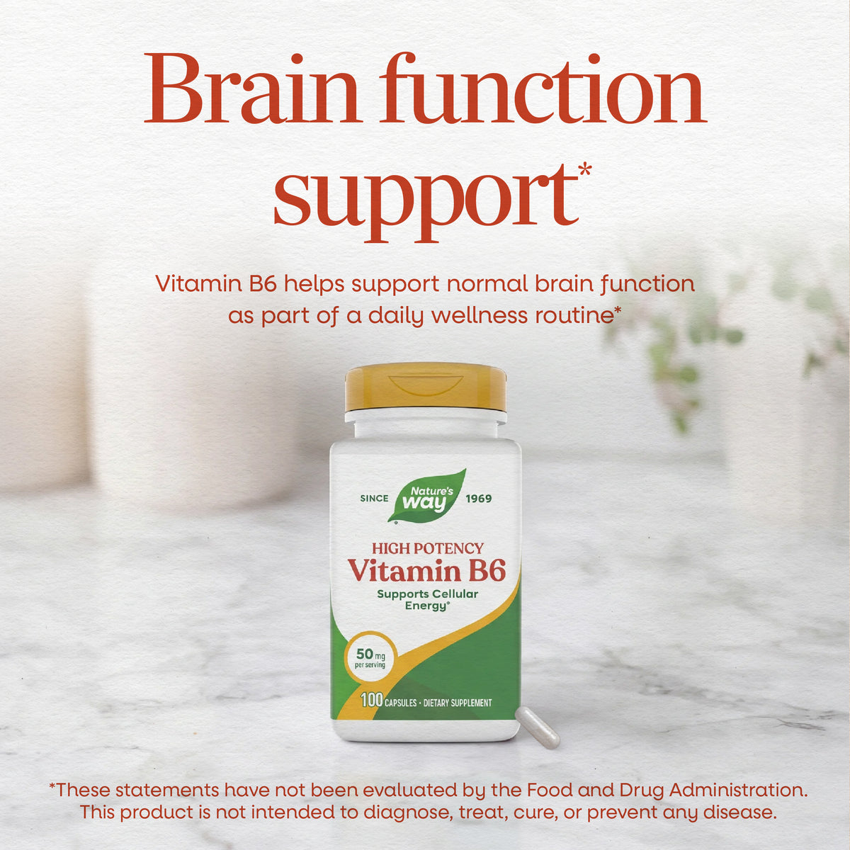 <{%MAIN2_40431%}>Nature's Way® | Vitamin B6 High Potency