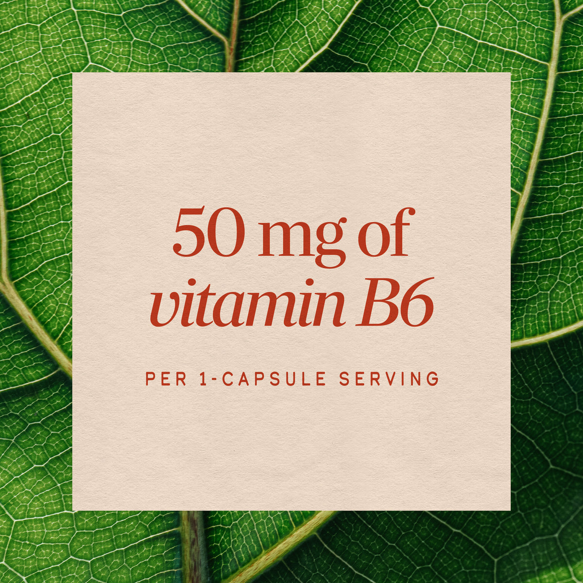 <{%MAIN3_40431%}>Nature's Way® | Vitamin B6 High Potency